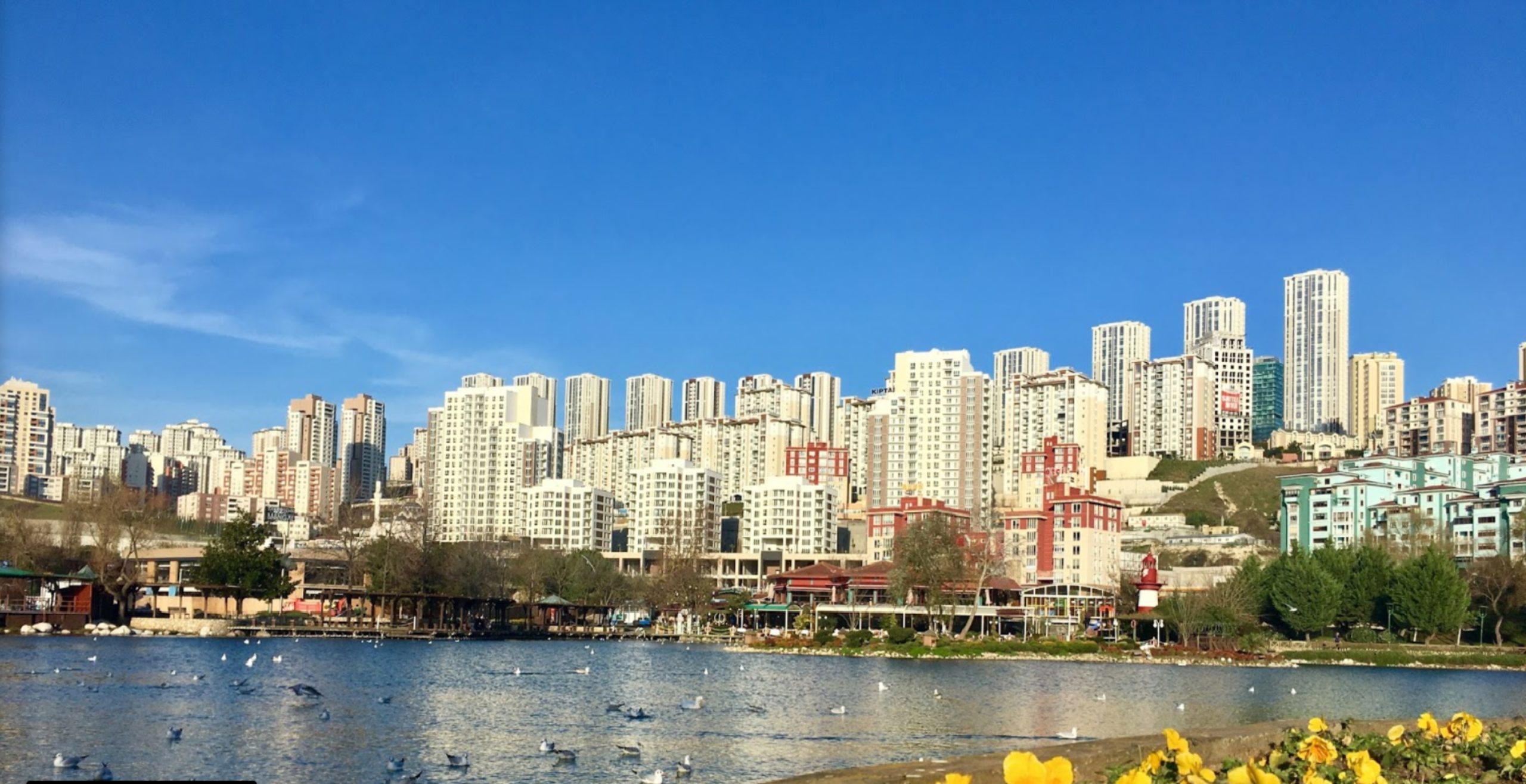 ماهي منطقة باشاك شهير في اسطنبول